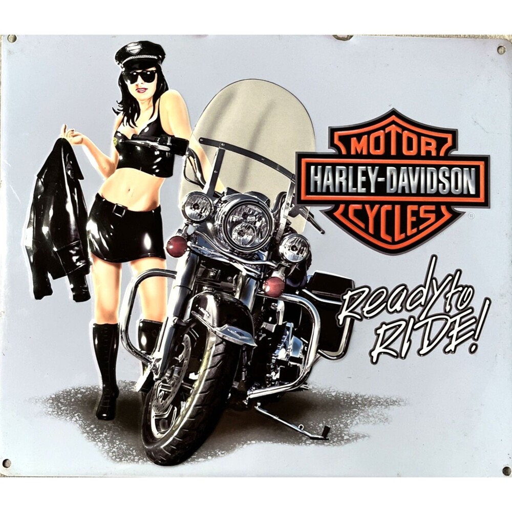 Vtg Harley-Davidson Ande Rooney H-D Jacket Babe 2011181 Tin Embossed Sign 2015